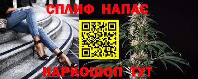 СК Рыбинск