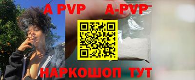 СК Рыбинск