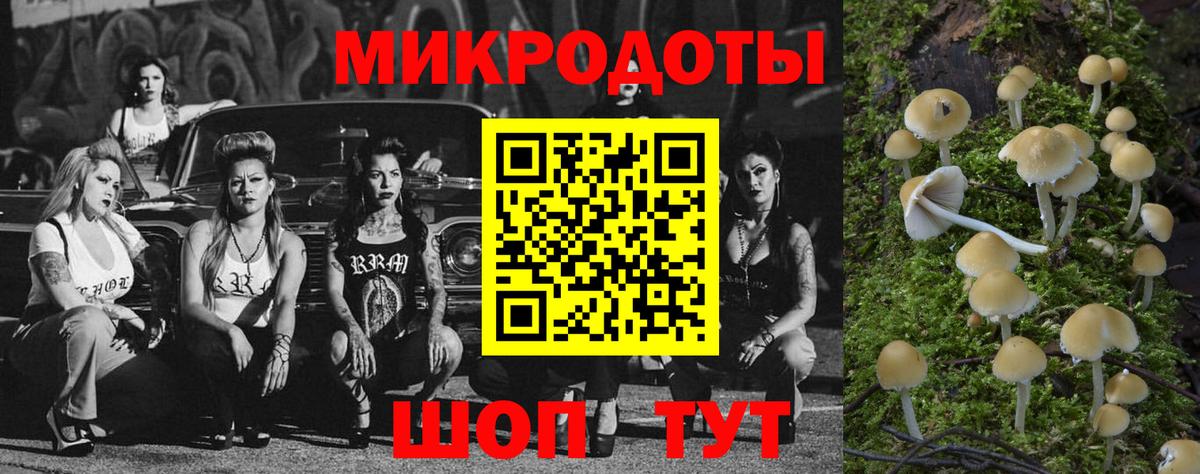 Псилоцибиновые грибы Psilocybine cubensis  цены   Серов  Вход с VPN 
